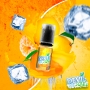 DEVIL ICE SQUIZ - Citron Mandarine 10ml