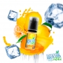 DEVIL ICE SQUIZ - Citron Mandarine 10ml